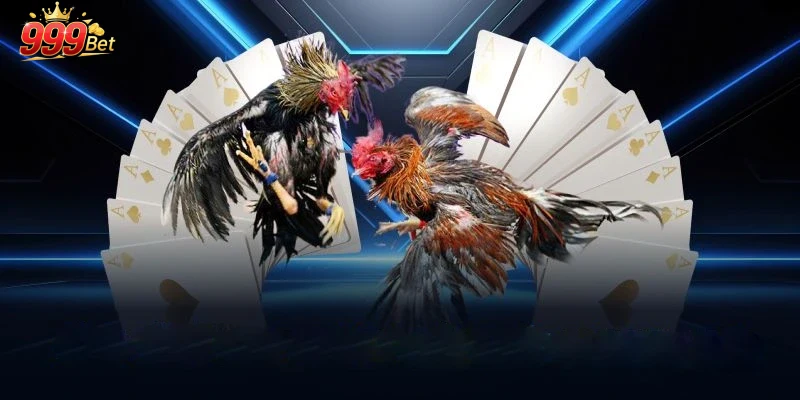 Những Điều Cần Biết Khi Chơi Đá Gà 999Bet